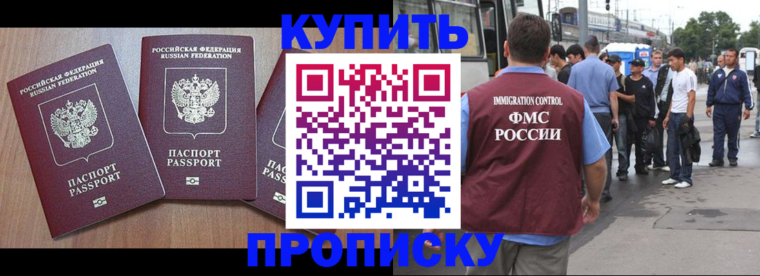 прописка 2025 в Луге